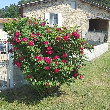 Studio Au Coeur De La Nature Bren Экстерьер фото